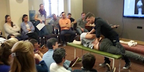 KNEE CHEST FULL SPINE/CERVICAL CHAIR AND KNEE CHEST  UPPER CERVICAL SEMINAR primary image