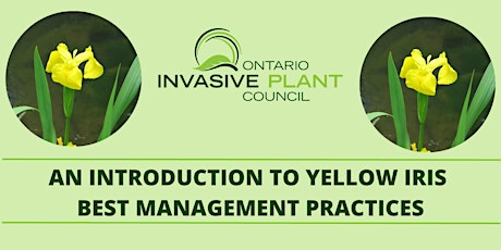 Imagen principal de An Introduction to Yellow Iris Best Management Practices (VIRTUAL WORKSHOP)