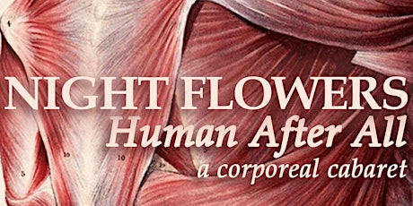 Night Flowers: Human After All
