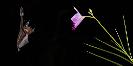 Primaire afbeelding van Life Without Light: Creatures in the Dark With Sarah McAnulty