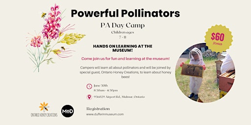 Powerful Pollinators: PA Day Camp