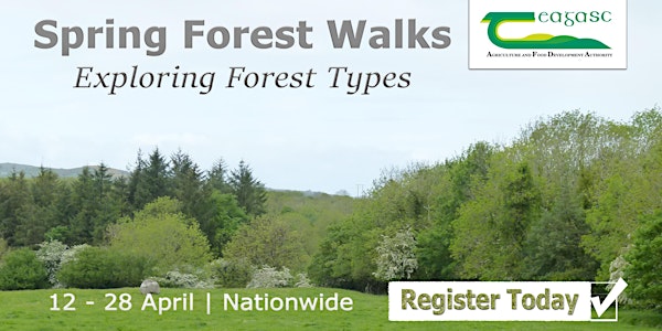 Spring Forest Walk 2023 - Limerick
