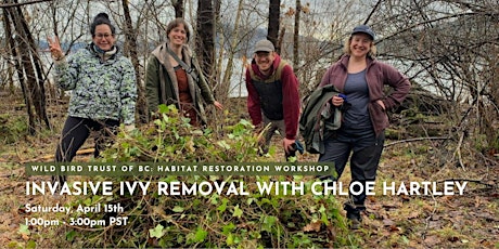 Invasive Ivy Removal with Chloe Hartley