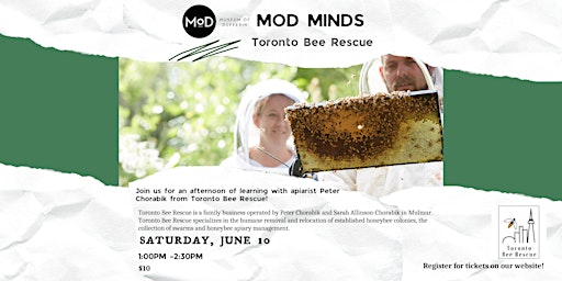 MoD Minds: Toronto Bee Rescue