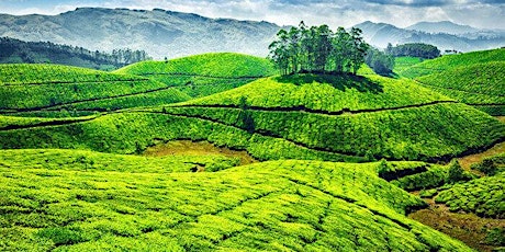 Plan your visit to the beautiful destinations of Kerala with Seasonz India primary image