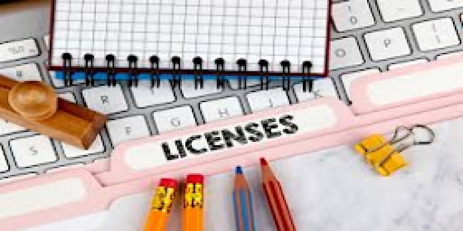 Hauptbild für Licenses and Permits - DBA vs LLC