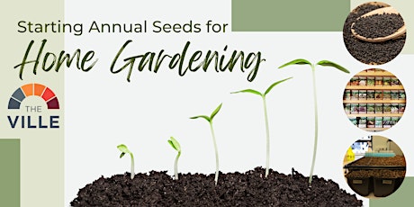 Starting Annual Seeds for Home Gardening