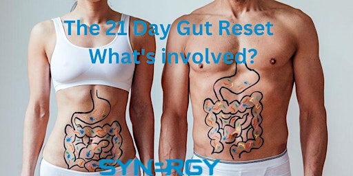 The 21 Day Gut Reset Program Explained