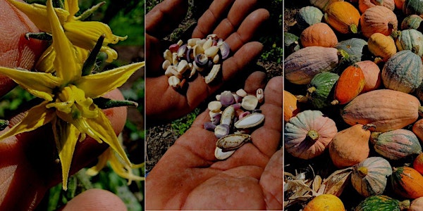 Securing our Local Food Future with Collaborative Seed Saving