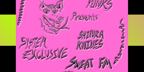System Exclusive, Shinra Knives + Sweat FM at The Sinkhole