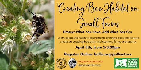 Creating Bee Habitat on Small Farms: Protect What You Have Add What You Can