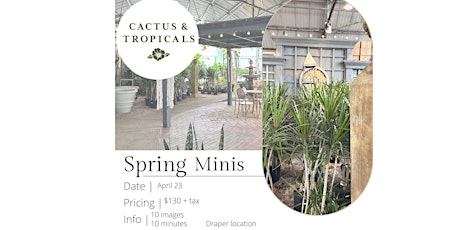 Cactus & Tropicals Spring Mini Session