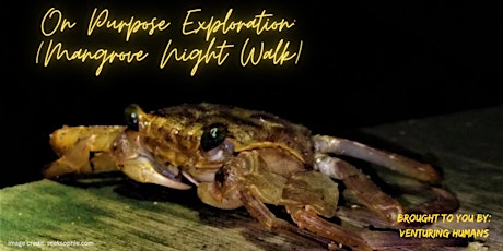 [Mangrove Night Walk] On Purpose Exploration - People Mixer x Fundraiser