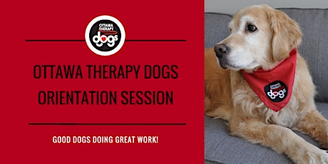 Ottawa Therapy Dogs - Orientation 