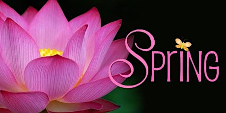 Lotus Spring Retreat