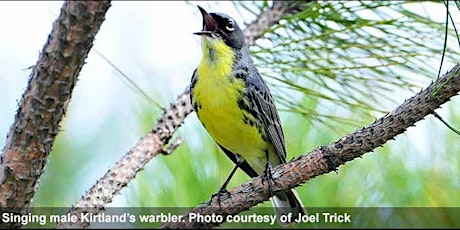 Kirtland’s Warbler Successional Forest Restoration Seed Collection Event