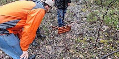 Hauptbild für Reptile survey at Spring Plains NCR