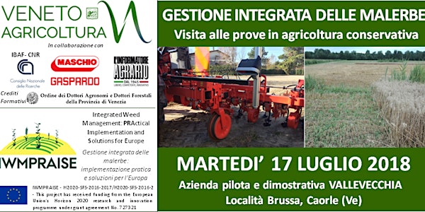 GESTIONE INTEGRATA DELLE MALERBE - Visite in campo