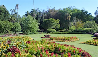 Sign Time (Gold Coast) - Benowa Botanic  Gardens primary image