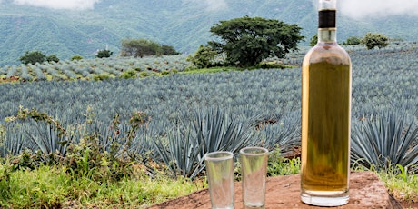 Immagine principale di Farow Monthly Cocktail Class: Agave Spirits 