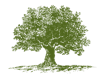 Newport Tree Conservancy's Logo