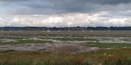 Walking Tour -  Essex Estuaries - The Stour from Manningtree to Mistley primary image