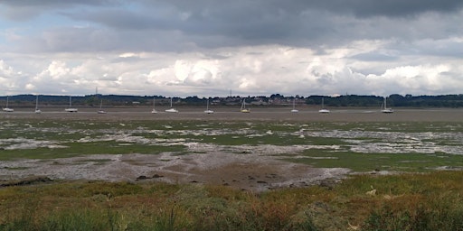 Walking Tour -  Essex Estuaries - The Stour from Manningtree to Mistley primary image