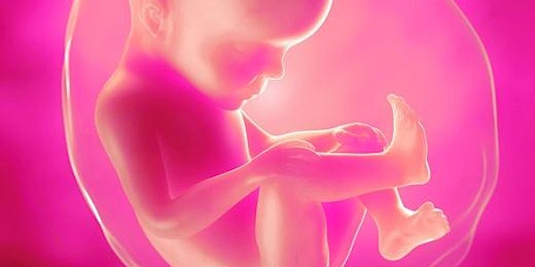 Exploration des mémoires fœtales et prénatales