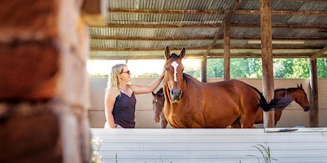2 Day equine assisted retreat for women living with and beyond cancer