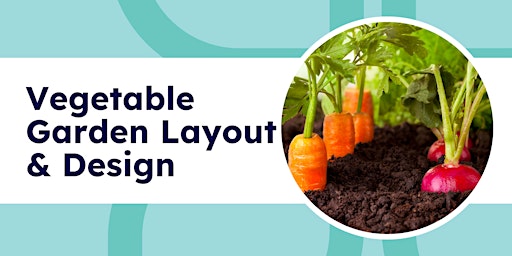 Vegetable Garden Layout & Design