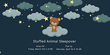 Stuffed Animal Sleepover primary image