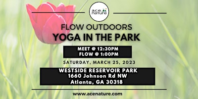 Flow Outdoors: Yoga In The Park
