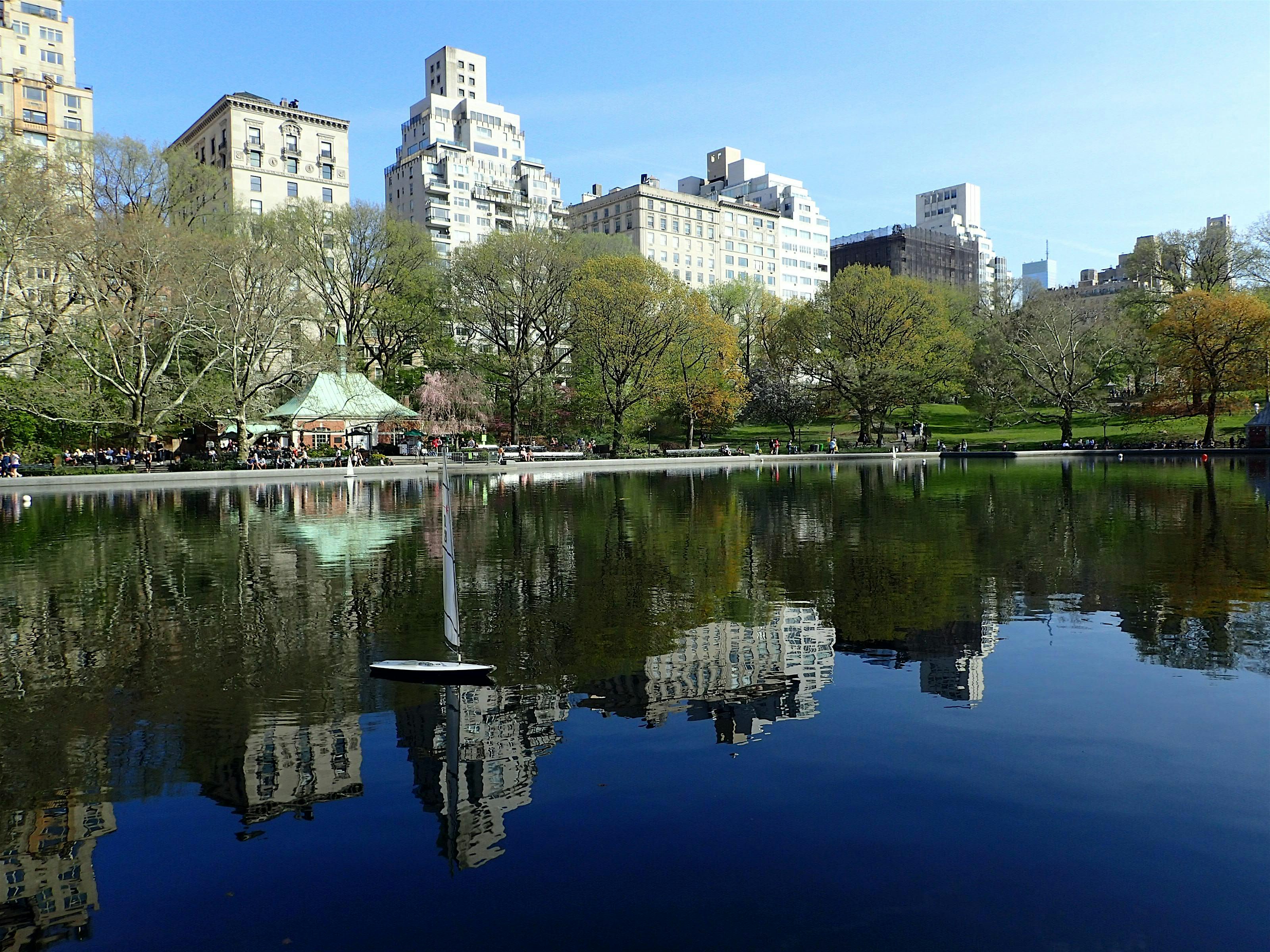 Amazing Scavenger Hunt Adventure - New York- Mid Central Park | Event in New York | AllEvents.in