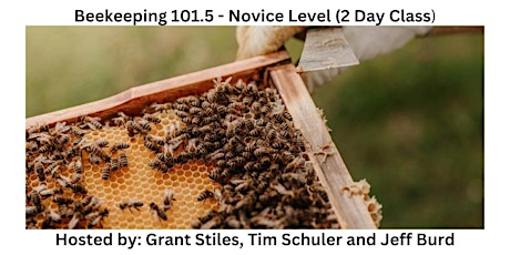 Beekeeping 101 -  Novice Level (2 Day Course)