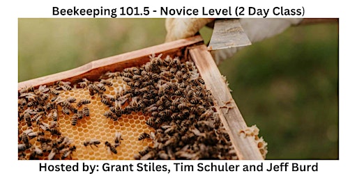 Beekeeping 101 -  Novice Level (2 Day Course) primary image