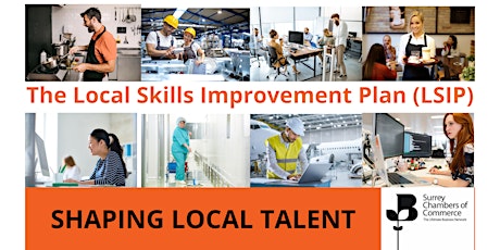 Primaire afbeelding van Local Skills Improvement Plan - Shaping Local Talent