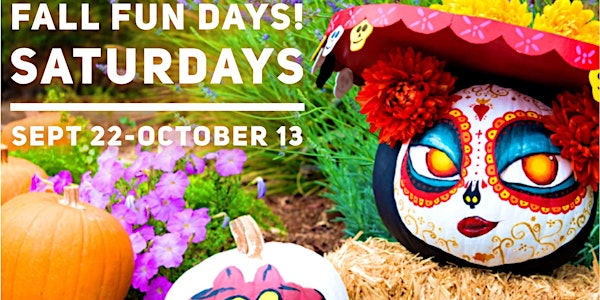 Fall Fun Days!