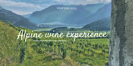 Alpine wine experience