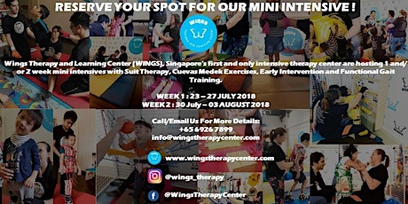 WINGS: MINI THERAPY INTENSIVES  - BOOK YOUR SPOT NOW primary image