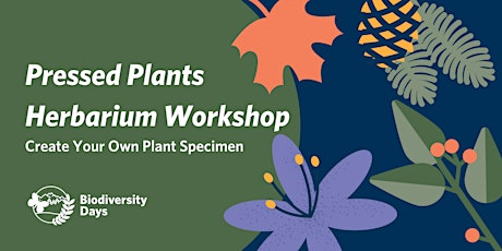 Biodiversity Days 2023: Pressed Plants Herbarium Workshop