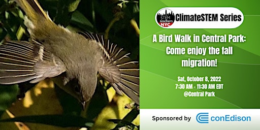 Imagem principal do evento A Bird Walk in Central Park: Come enjoy the fall migration! (ES/MS/HS)