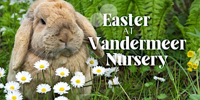Imagem principal do evento Easter at Vandermeer Nursery!