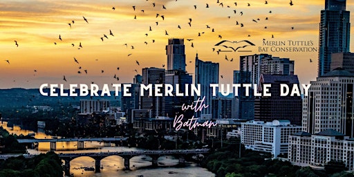 Hauptbild für Merlin Tuttle Day 2024: Private Sunset Bat Watching Cruise with Batman!