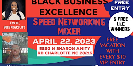 Black Business Excellence Speed Networking Mixer
