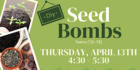 Teen Craft - DIY Seed Bombs