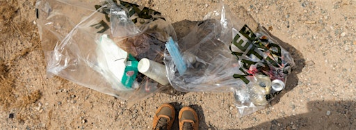 Collection image for Arizona Cleanups