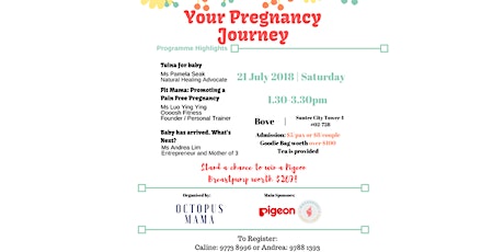 Your Pregnancy Journey Seminar primary image