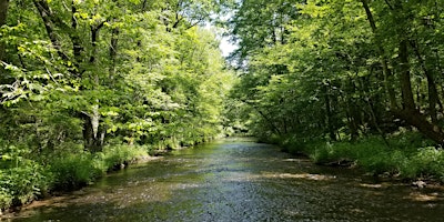 Hauptbild für Hike with The Swan Conservation Trust