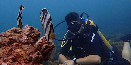 Imagem principal do evento Mergulho com cilindro em barreira de corais