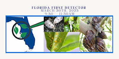 First Florida Detector In-person Class